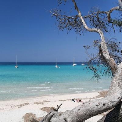 Vacanza in barca a vela in Corsica del Nord